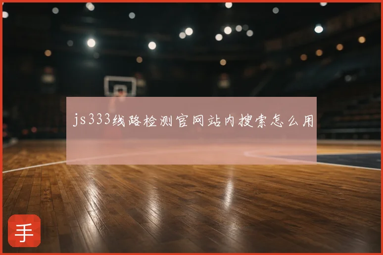 js333线路检测官网站内搜索怎么用