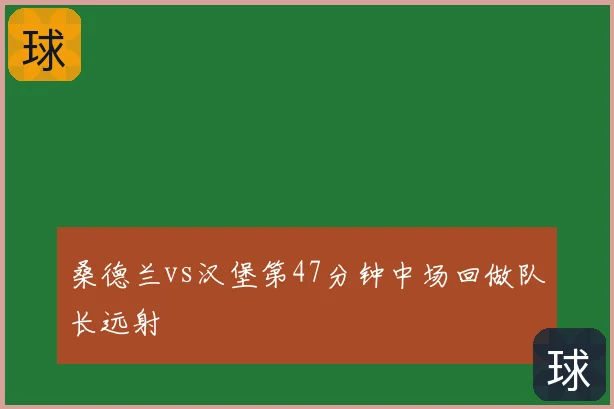 桑德兰vs汉堡第47分钟中场回做队长远射